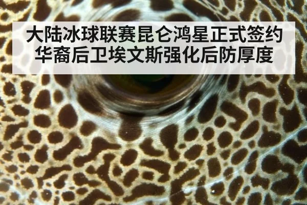 大陆冰球联赛昆仑鸿星正式签约华裔后卫埃文斯强化后防厚度